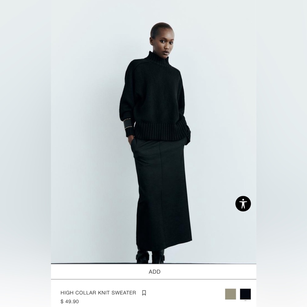 Zara Knit Turtleneck